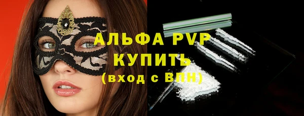 стаф Бородино