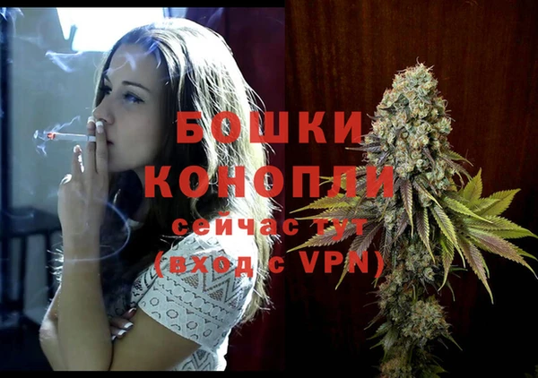 стаф Бородино