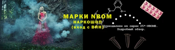 стаф Бородино