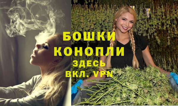 прущий лед Бронницы