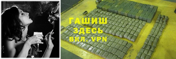 стаф Бородино