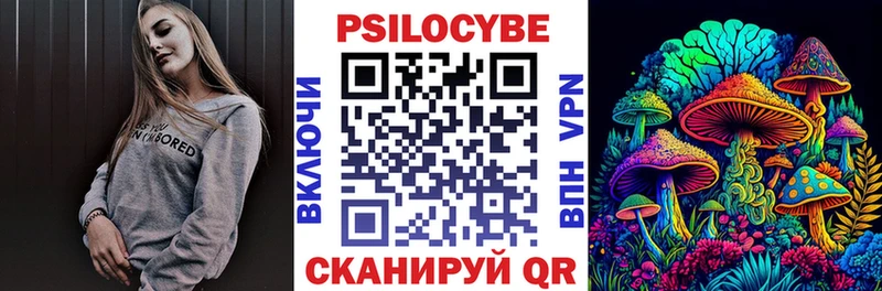 Купить где  Тавда  Галлюциногенные грибы Cubensis 